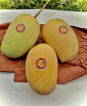 Premium Kesar Mangoes (Spotless Yellow – Extra care) - Image 4