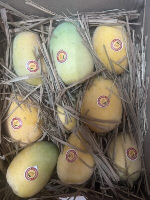 Premium Kesar Mangoes (Spotless Yellow – Extra care) - Image 5