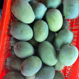 Spotless mango
